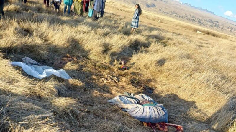 Mujer no identificada, de entre 60 y 65 años, fue hallada sin vida y devorada por perros en Achacachi