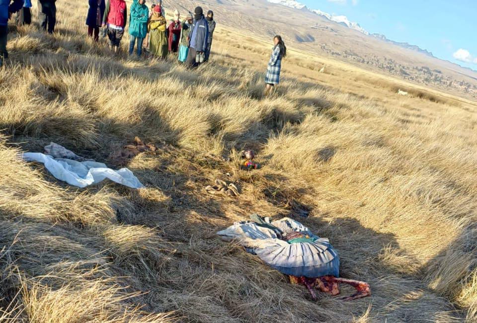 Mujer no identificada, de entre 60 y 65 años, fue hallada sin vida y devorada por perros en Achacachi